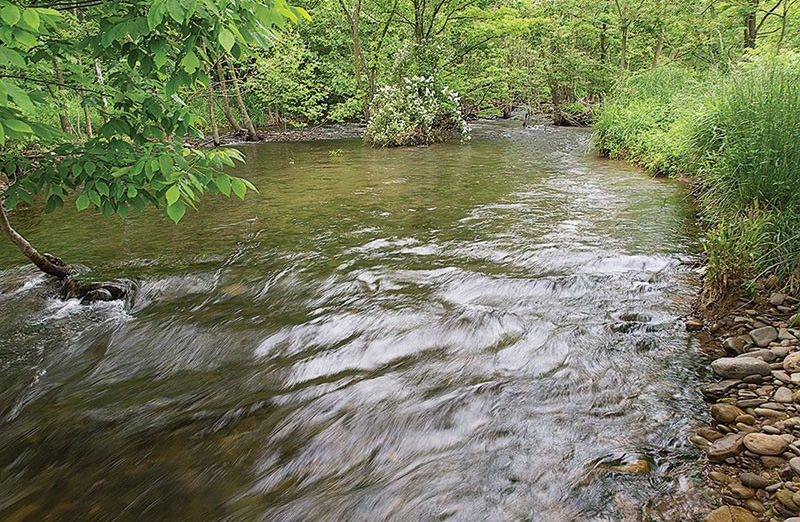 Stream vegetated low angle